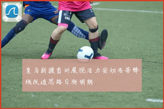 皇马新援首训展现活力安切洛蒂锋线改造思路日渐明朗
